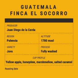 Guatemala Finca el Socorro